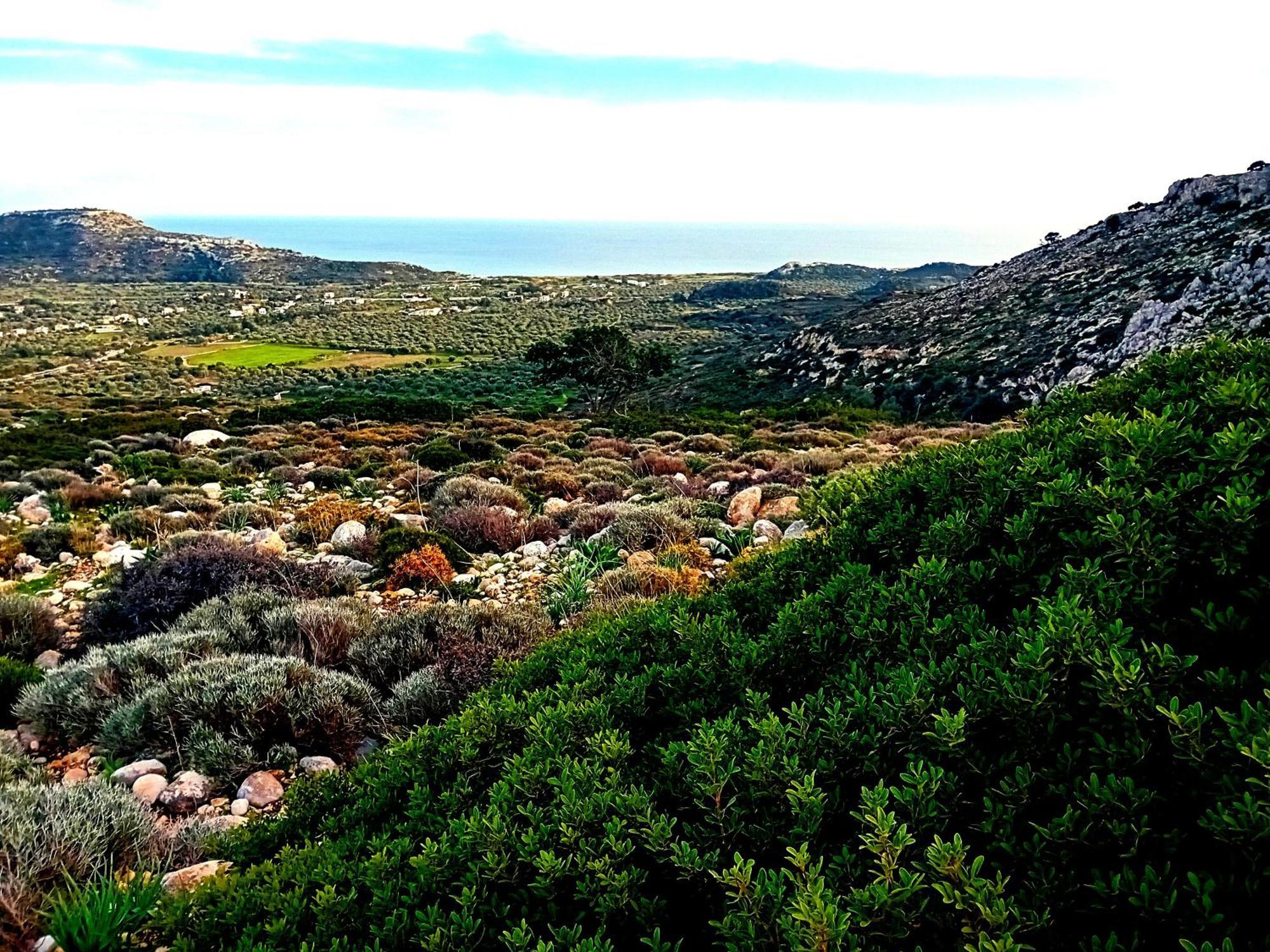 Lucidum Villa Rhodes Faliraki Buitenkant foto